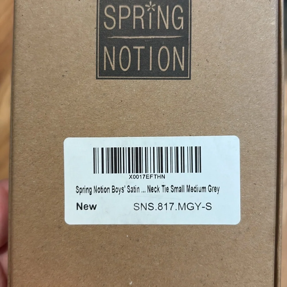 Spring Motion Boy’s gray satin tie